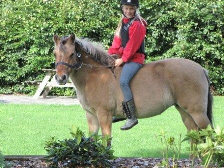 Anden særlig race Freja (mit et og alt)<3 - hygge<33 billede 14