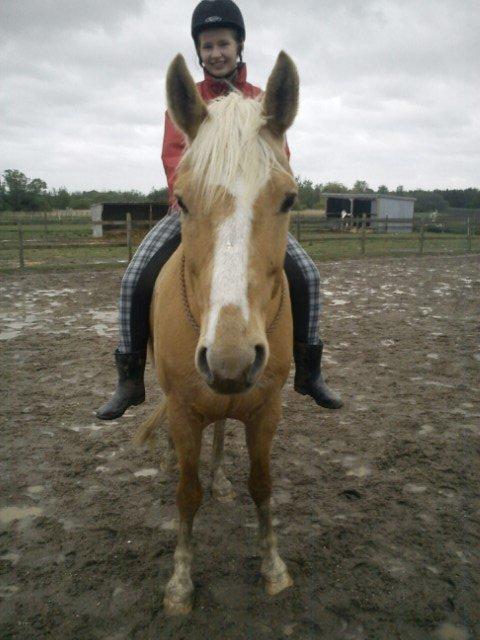 Anden særlig race Copys Le Charmeur billede 5