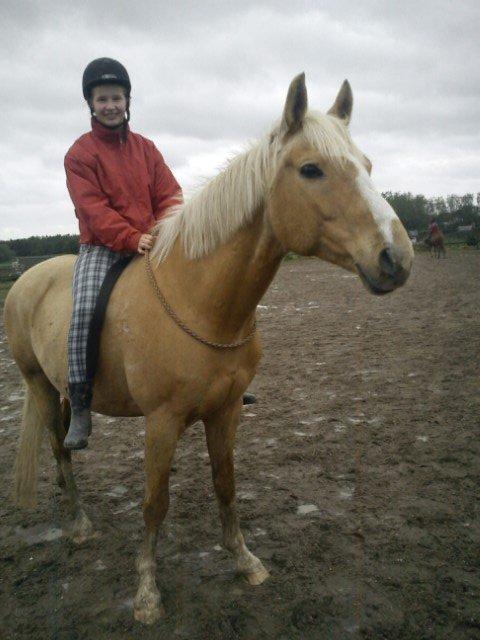 Anden særlig race Copys Le Charmeur billede 6