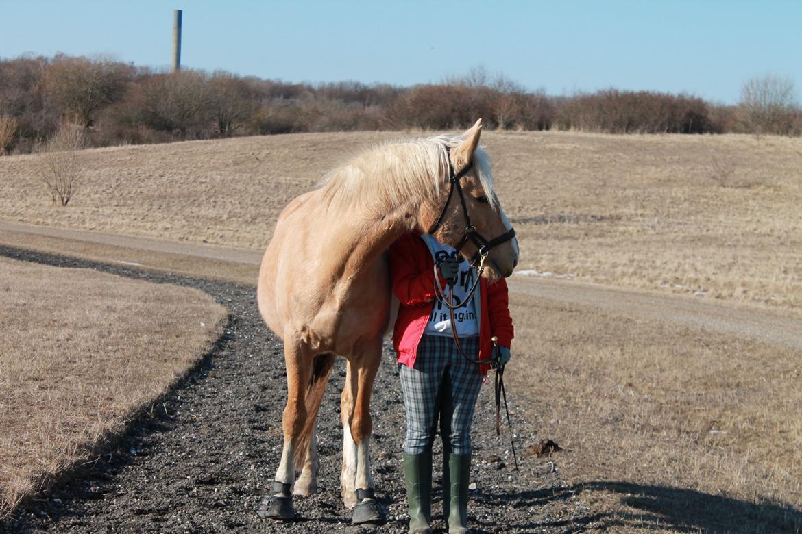 Anden særlig race Copys Le Charmeur billede 9