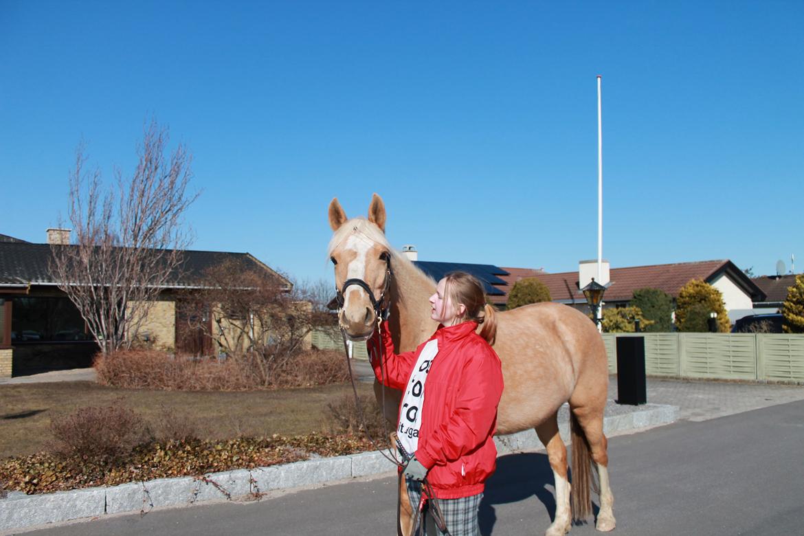 Anden særlig race Copys Le Charmeur billede 12