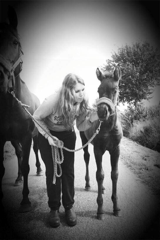 Anden særlig race Musique-Girl billede 36