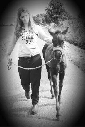 Anden særlig race Musique-Girl billede 37