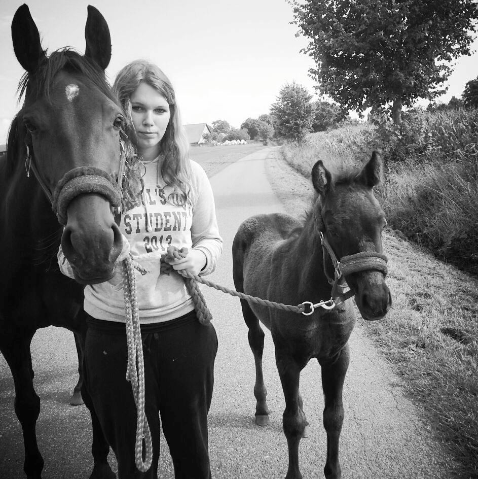 Anden særlig race Musique-Girl billede 39