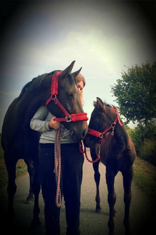 Anden særlig race ¤Melissa¤ billede 1