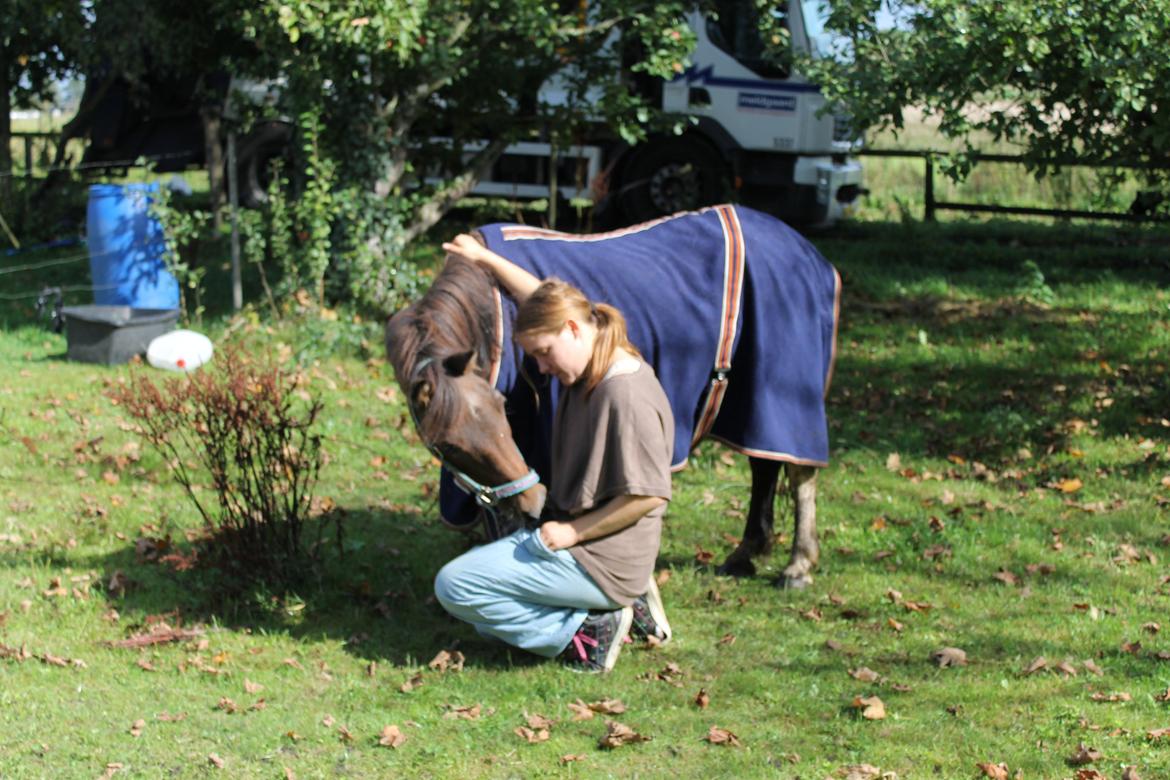 Pinto | Tessa - Den sidste dag med Tessa inden hun blev aflivet:-) billede 18