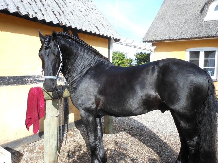 {{currentPhoto.altText}} billede {{currentPhoto.number}}