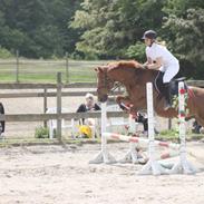 Anden særlig race Oliver