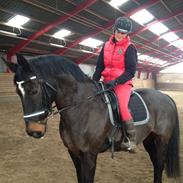 Oldenborg Ursus af Sjapmosen 207 DK. OLDB.