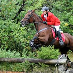 Anden særlig race Molly