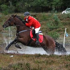 Anden særlig race Molly