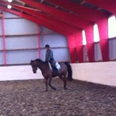 DSP Lykkehøjs Kiss Mee <3