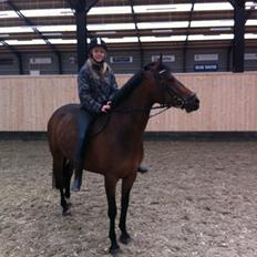 DSP Lykkehøjs Kiss Mee <3