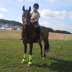 Anden særlig race Freja Ømarksgård