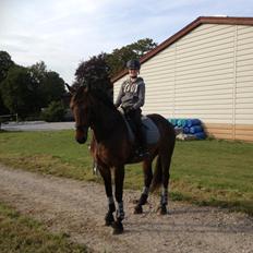 Anden særlig race Sputnik (Sprutte)