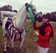 Hollandsk Sportspony Antonio A pony