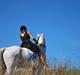 Irsk Sportspony Rahscanlon Lad  - White beauty -