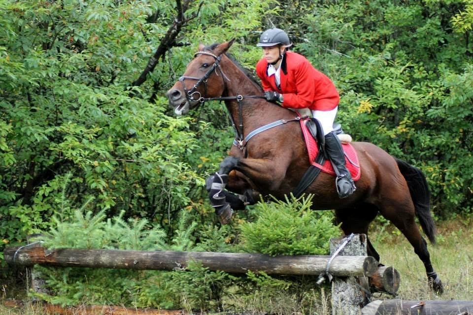 Anden særlig race Molly - SSP-Photo billede 2