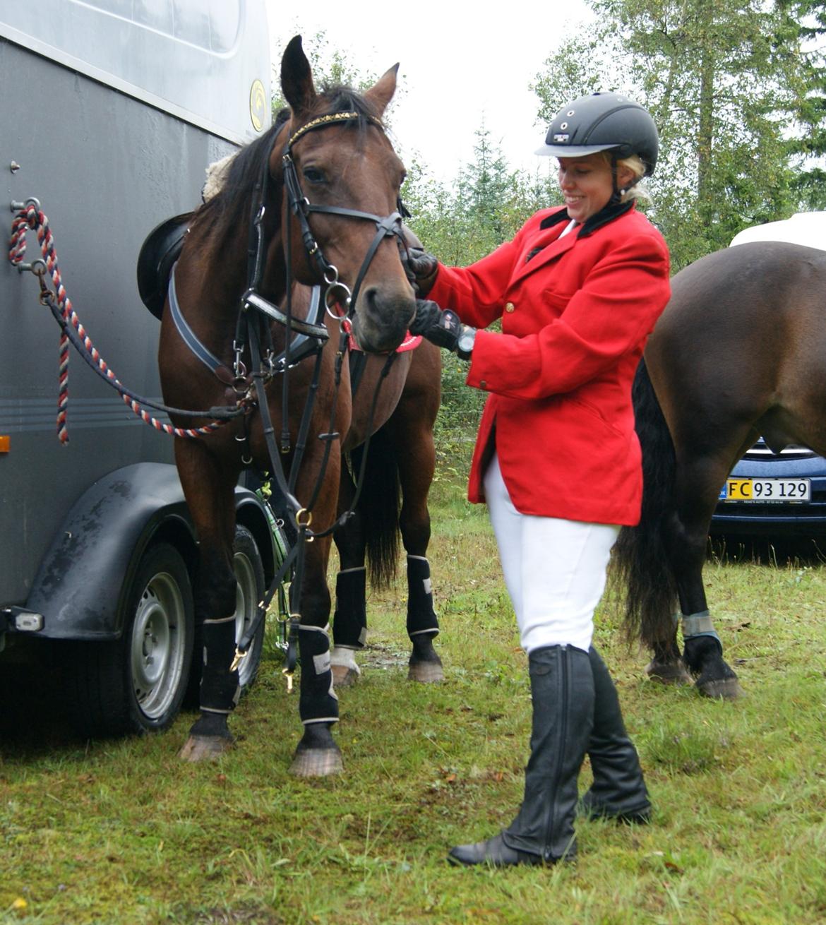 Anden særlig race Molly billede 4
