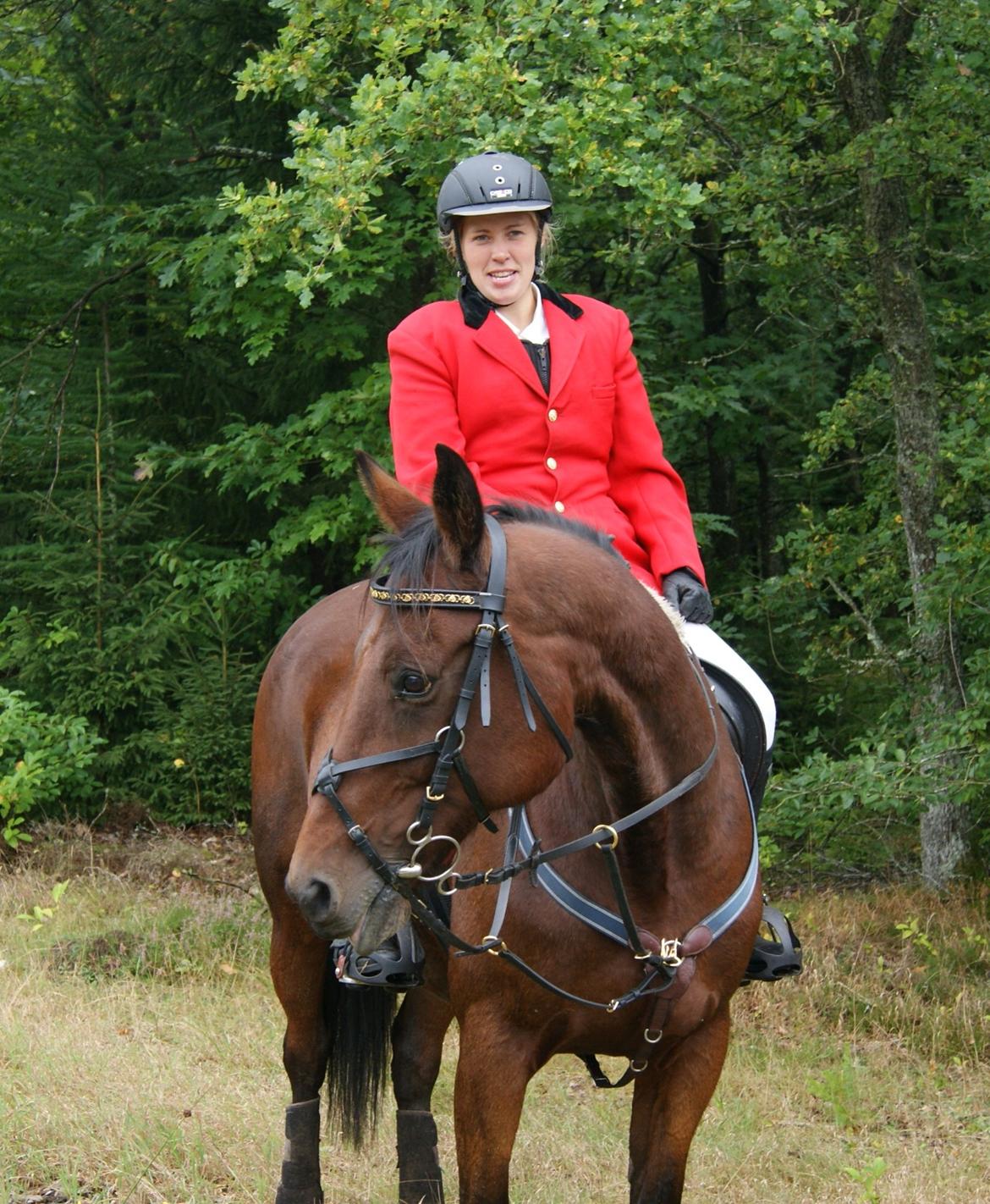 Anden særlig race Molly billede 10