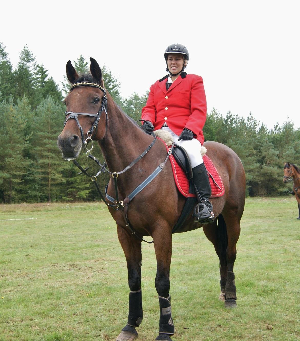 Anden særlig race Molly billede 12