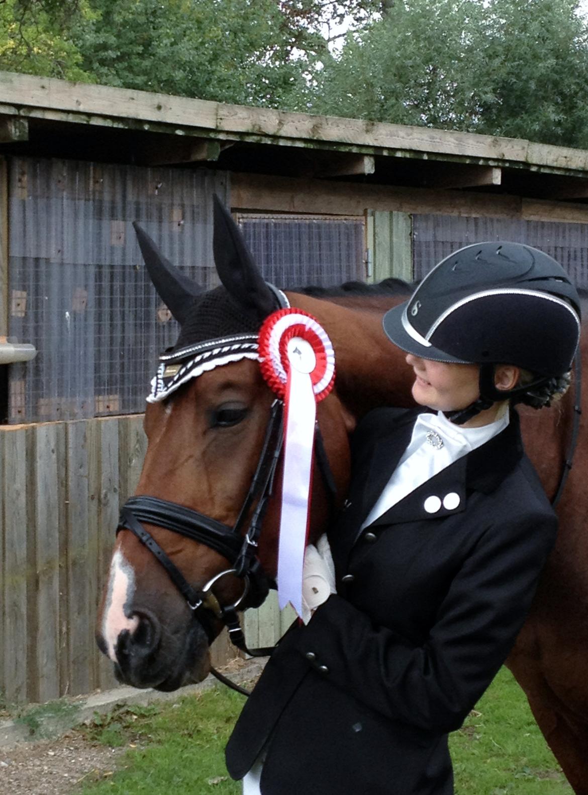 Dansk Varmblod Ocabell billede 14