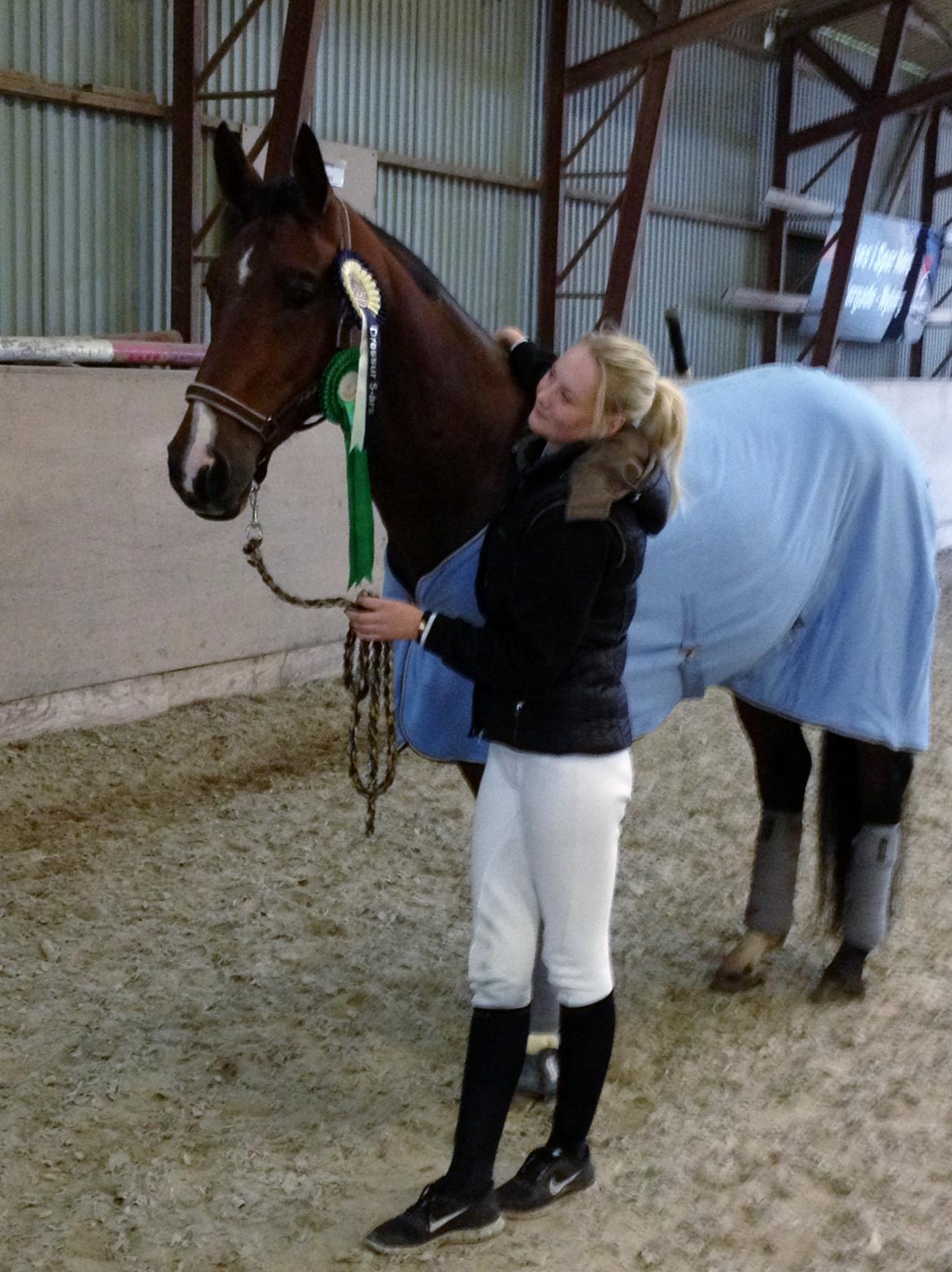 Dansk Varmblod Ocabell - Hjemvendt fra 5 års i Billund - videre til mellemrunde 2013<3 billede 15