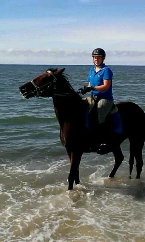 Anden særlig race Molly billede 33