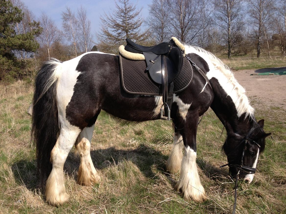 Tinker Lillevangens Pretty Woman billede 10