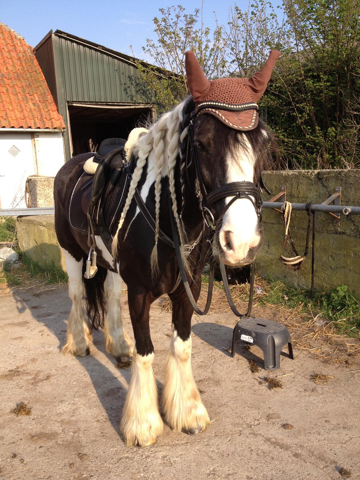 Tinker Lillevangens Pretty Woman billede 11