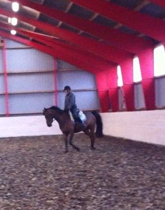 DSP Lykkehøjs Kiss Mee <3 billede 1