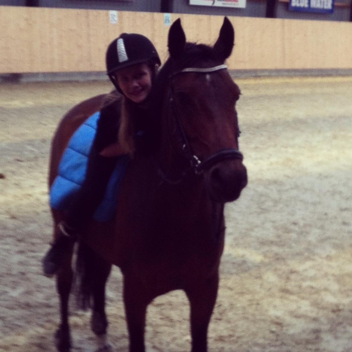 DSP Lykkehøjs Kiss Mee <3 billede 4