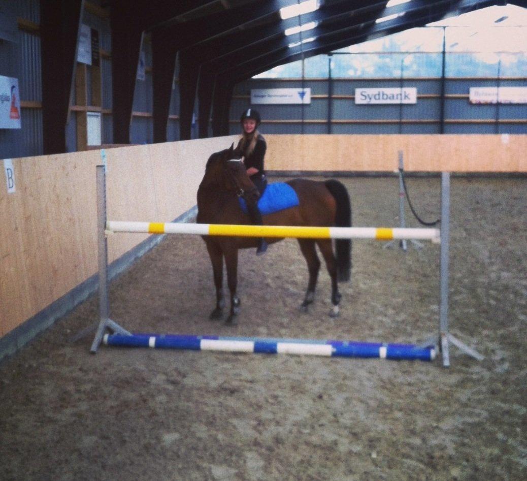 DSP Lykkehøjs Kiss Mee <3 billede 7