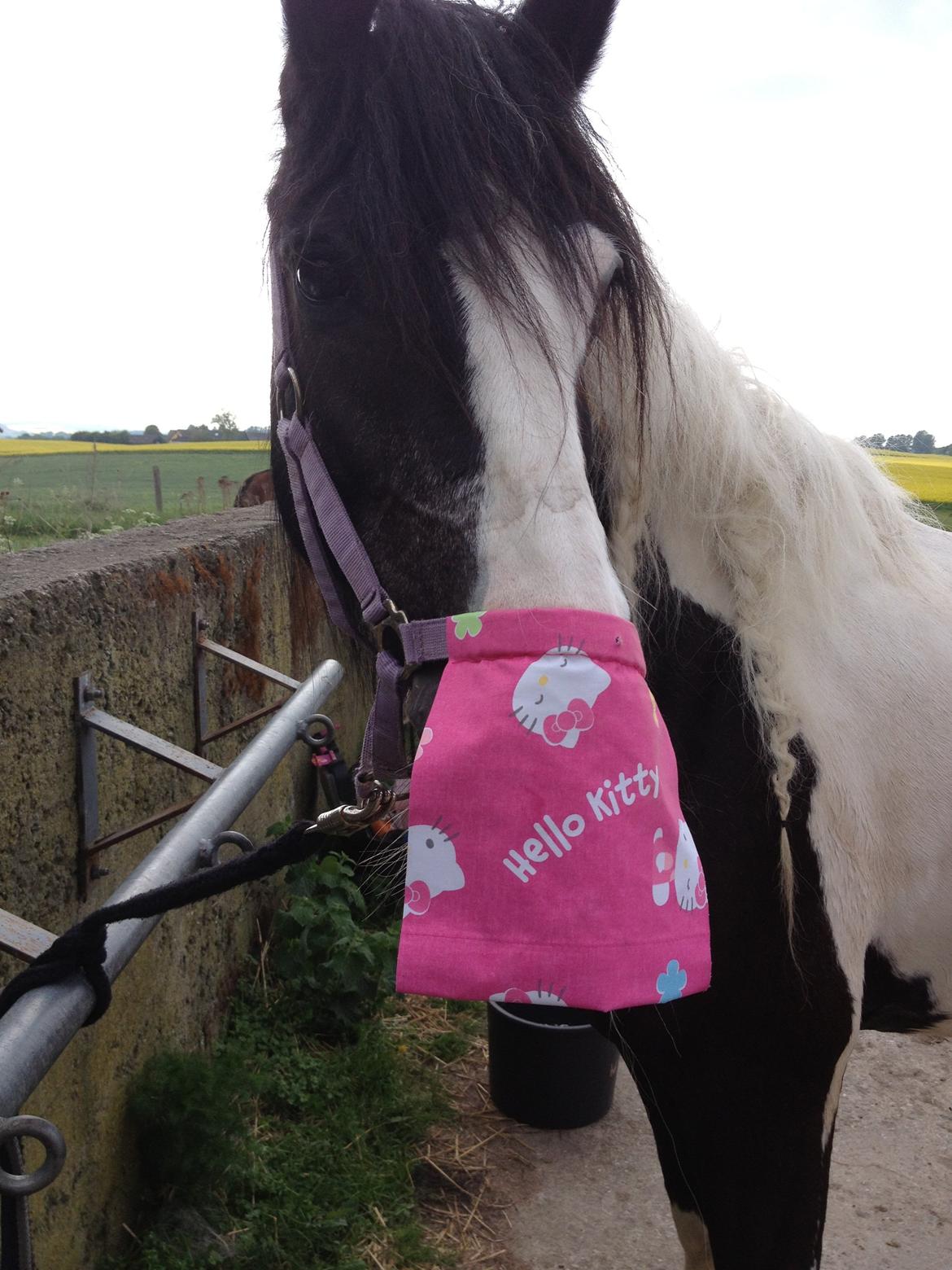 Tinker Lillevangens Pretty Woman billede 13