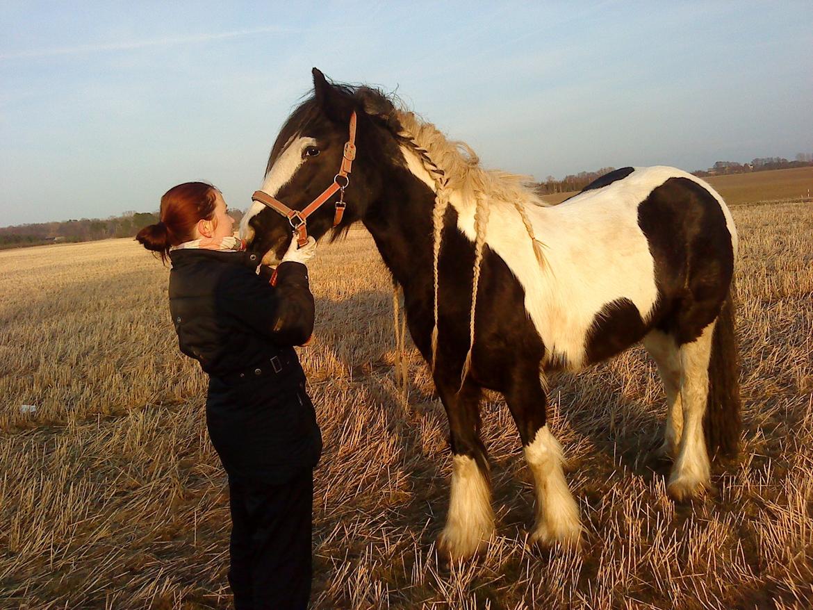 Tinker Lillevangens Pretty Woman billede 16