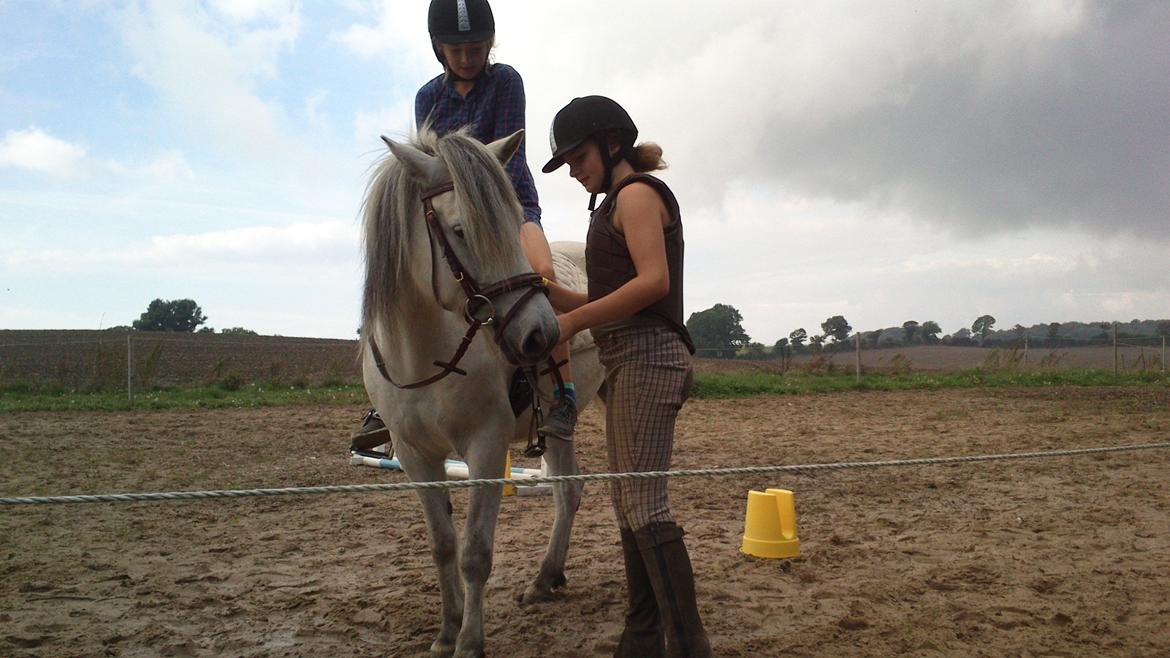 Anden særlig race Lille Ole (solgt) billede 11