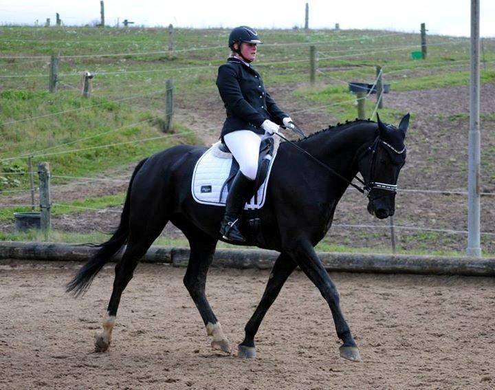 Dansk Varmblod Fruerlundens Rosita - LA3 til knap 68% og en 1. plads  billede 12