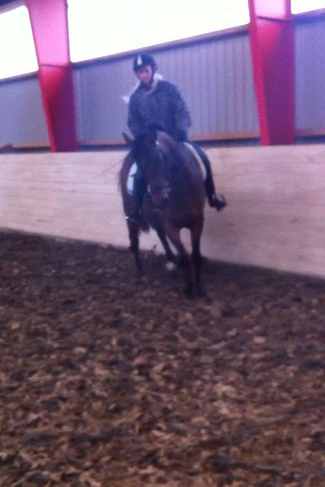 DSP Lykkehøjs Kiss Mee <3 billede 15