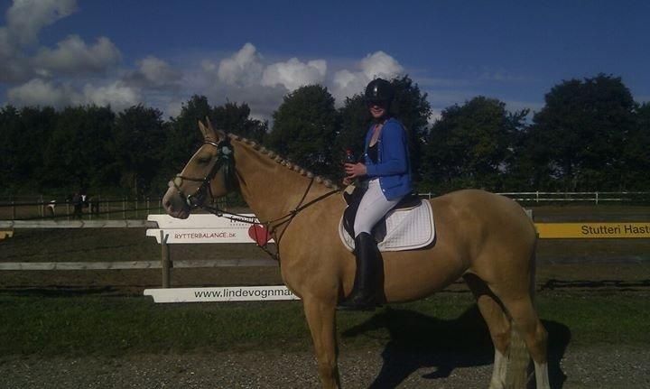 Palomino Heimdals Joy Of Gold - Det blev til en sløjfe i bom på jord klassen, hendes første stævne efter at have været tilredet i kun 2 mdr <3 billede 16