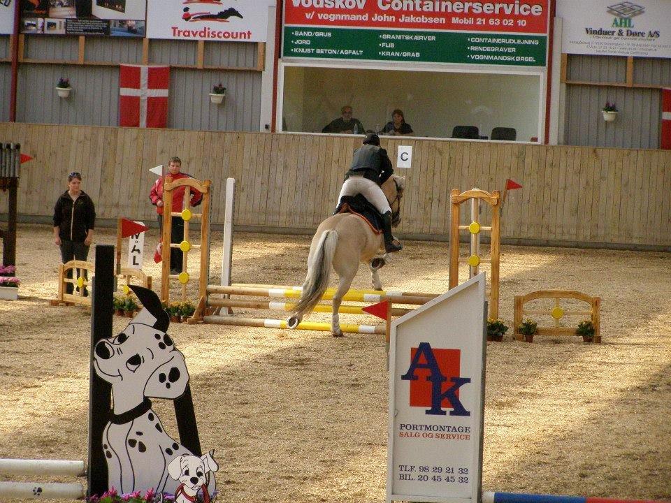 Fjordhest Birkens Jack - 14 sep 2013
50 cm
0 fejl
jack og inger anden spring stævne sammen billede 7