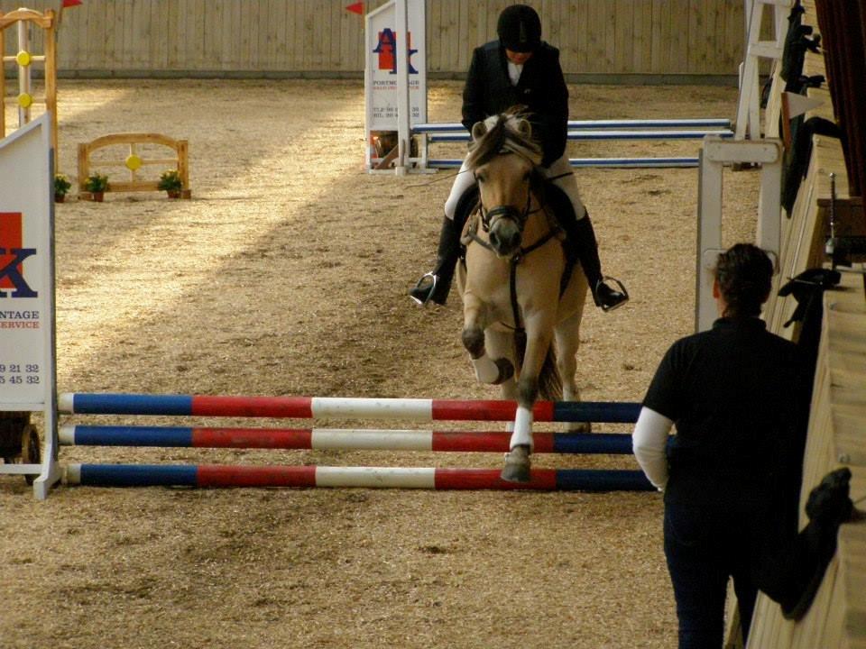 Fjordhest Birkens Jack - 14 sep 2013
50 cm
0 fejl
jack og inger anden spring stævne sammen billede 8