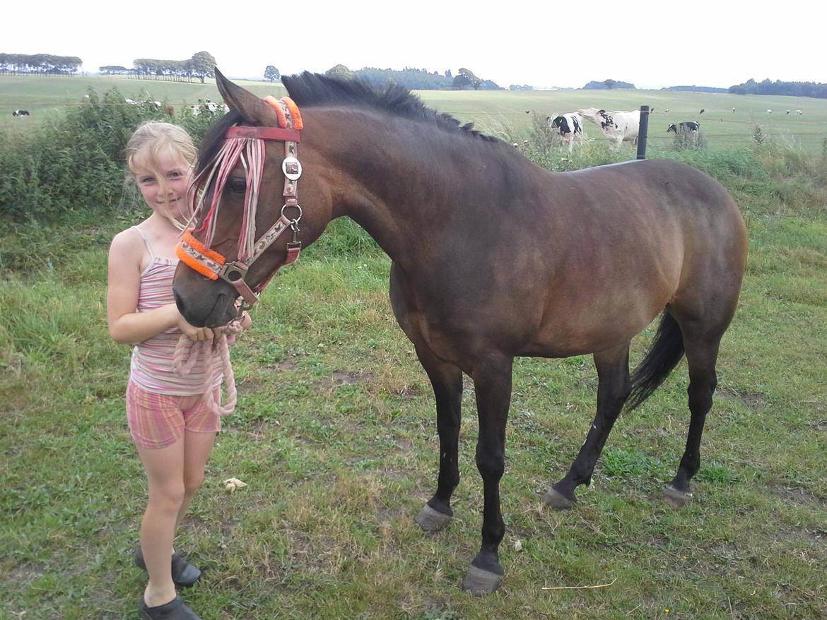 Anden særlig race Freja Ømarksgård billede 2