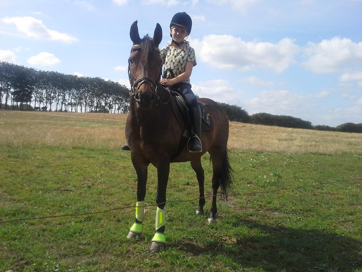 Anden særlig race Freja Ømarksgård billede 3