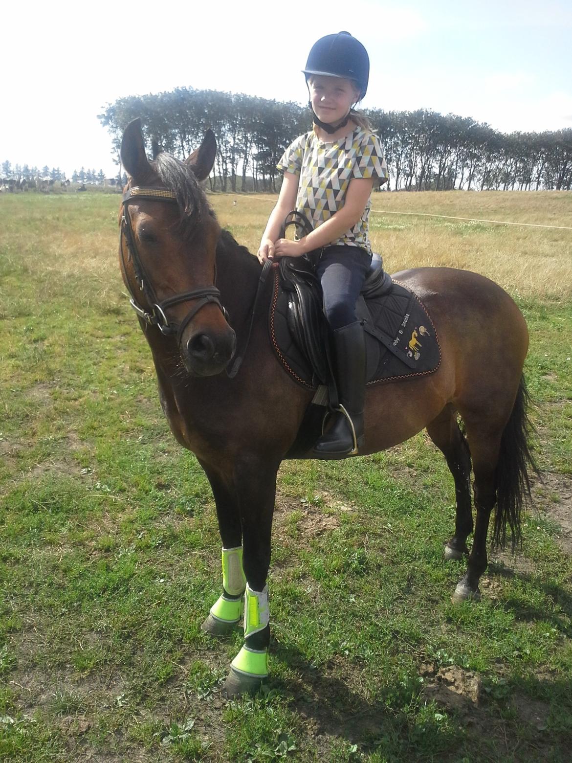 Anden særlig race Freja Ømarksgård billede 4