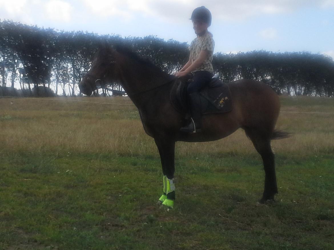 Anden særlig race Freja Ømarksgård billede 5