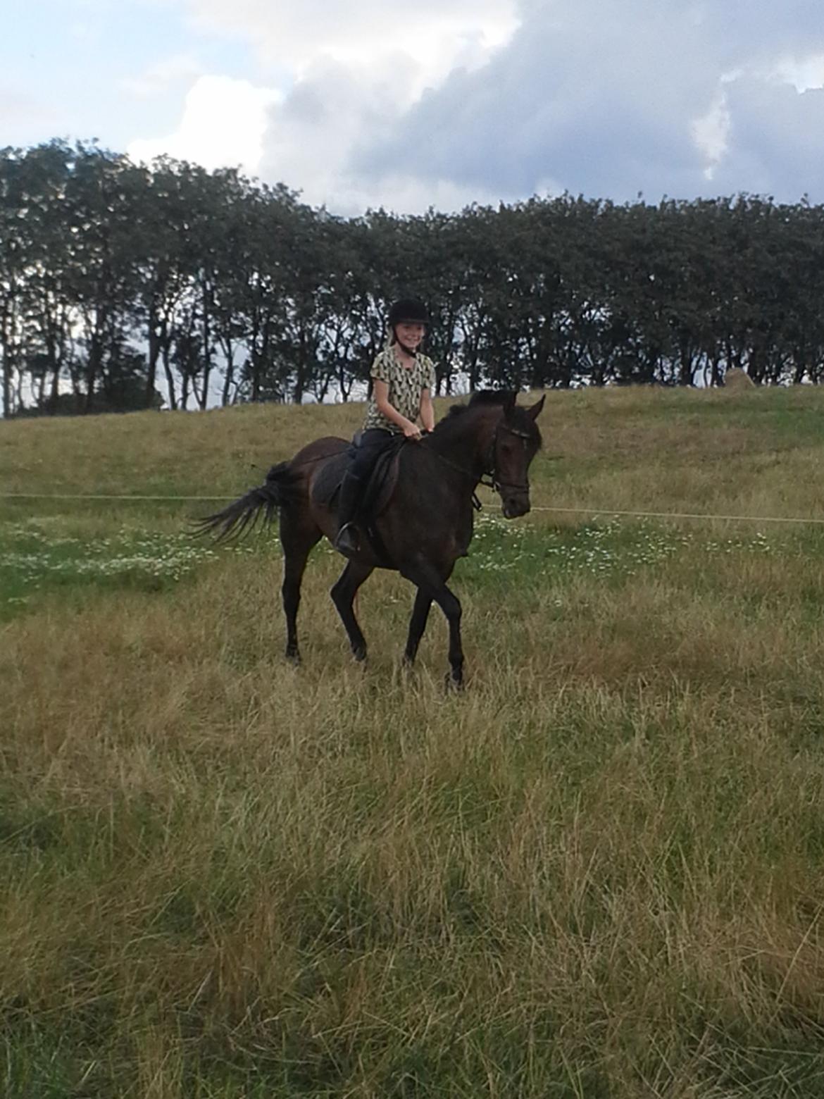 Anden særlig race Freja Ømarksgård billede 6