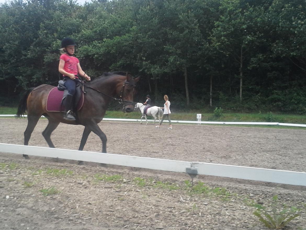 Anden særlig race Freja Ømarksgård billede 11