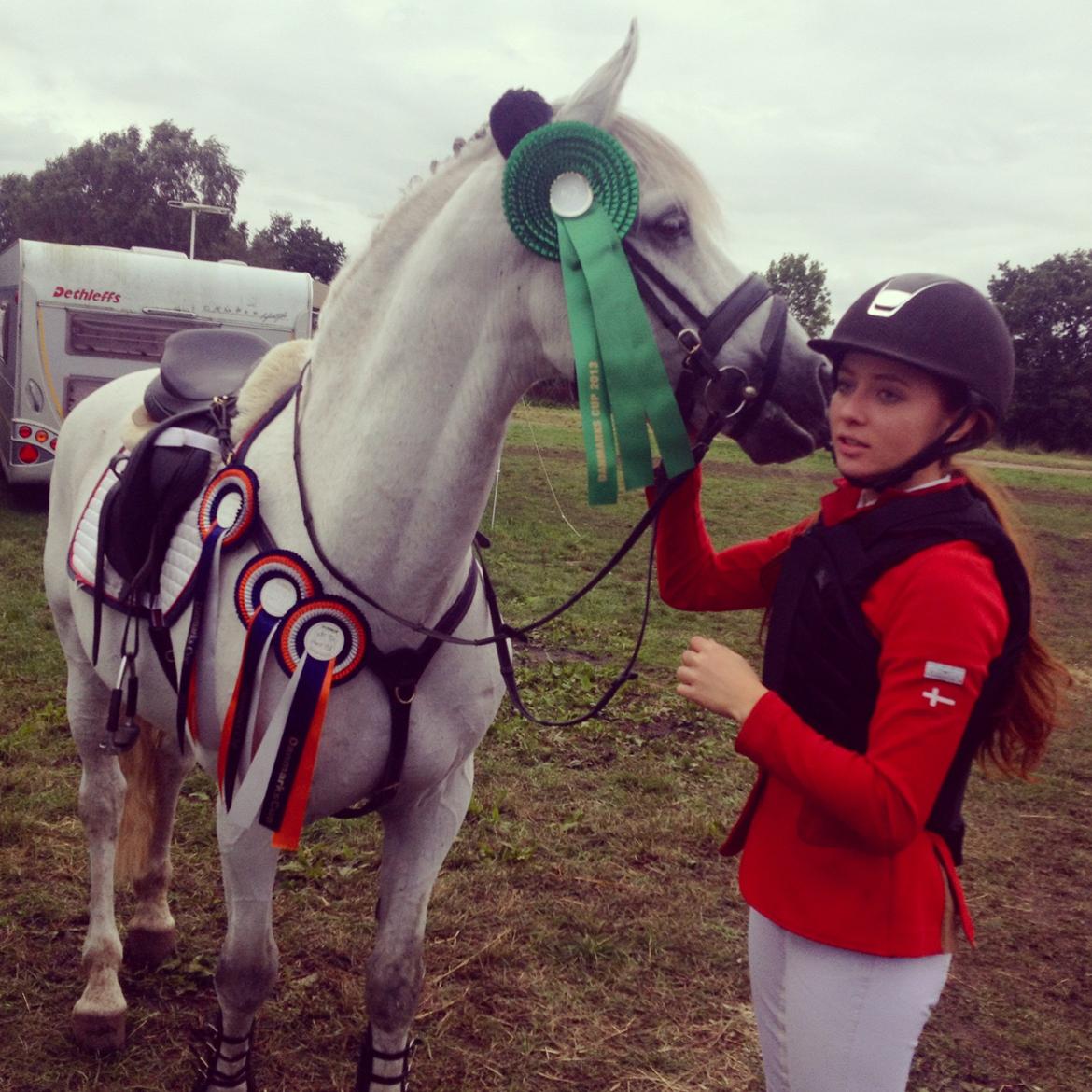 Hollandsk Sportspony Antonio A pony - Danmarkscup 2013 - mb** samlet nr 5 med en stil karakter på 8,5 i finalen billede 1