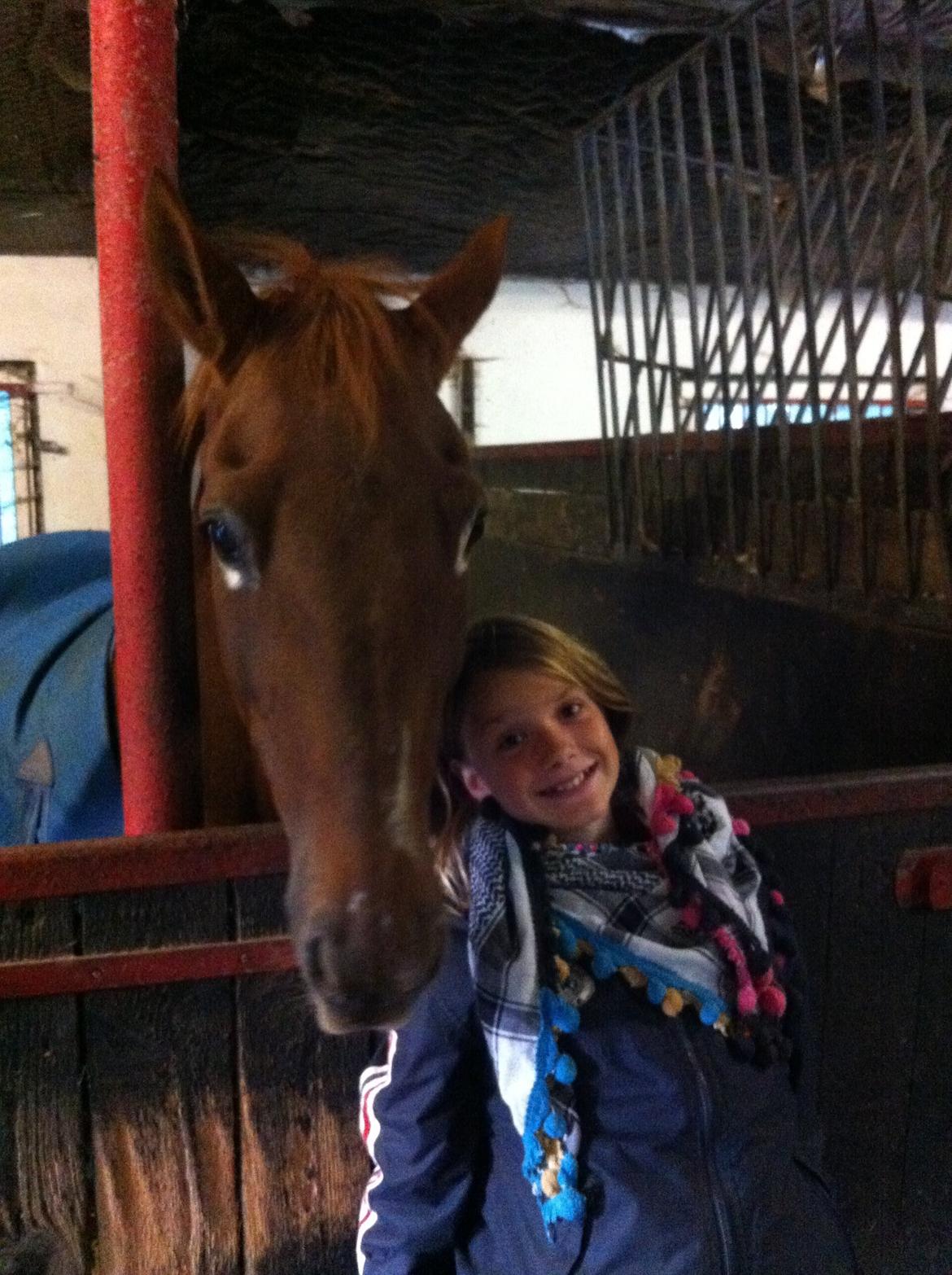 Hollandsk Sportspony IRIS #my bedst friend# - Min lille prinsesse<3 billede 10