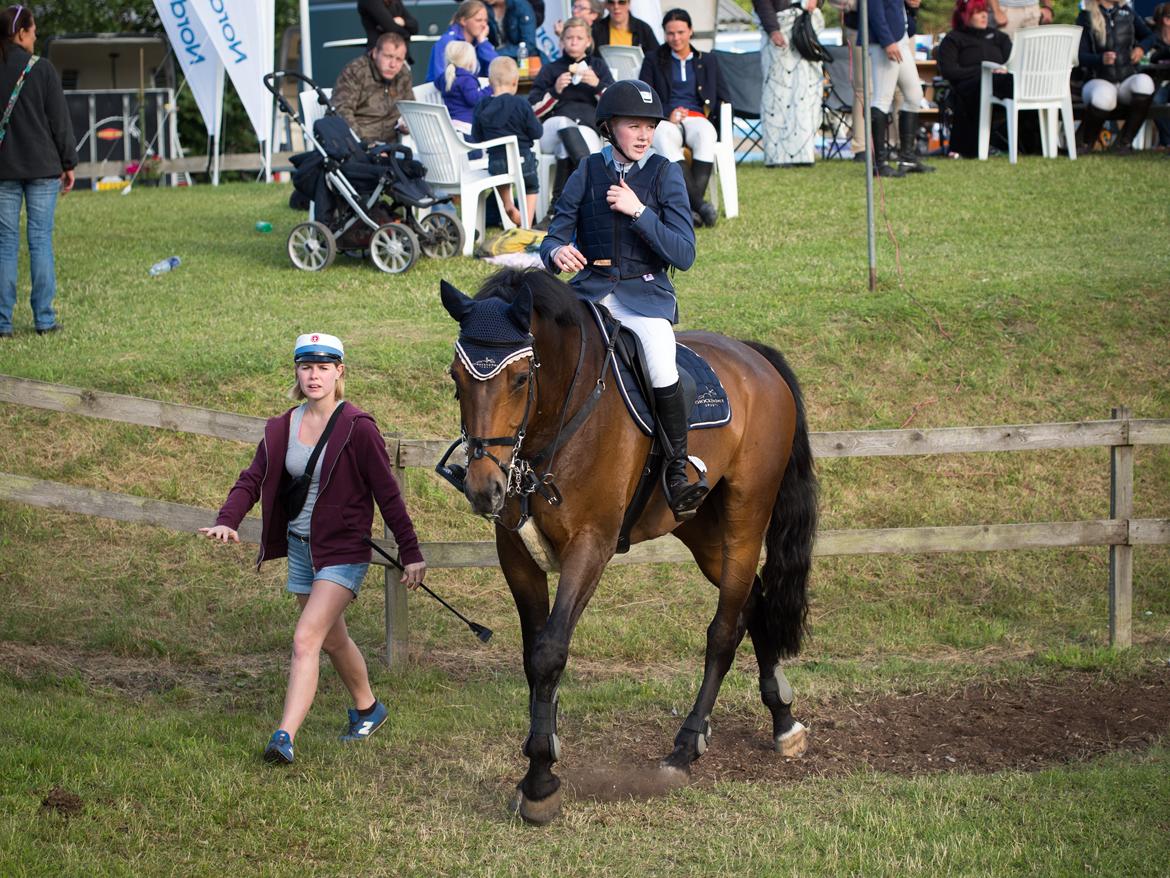 Tysk Varmblod | Giaccomo 43 - I can't live a lie running for my life - I will always want you <3 Foto: Runde Jensen billede 5